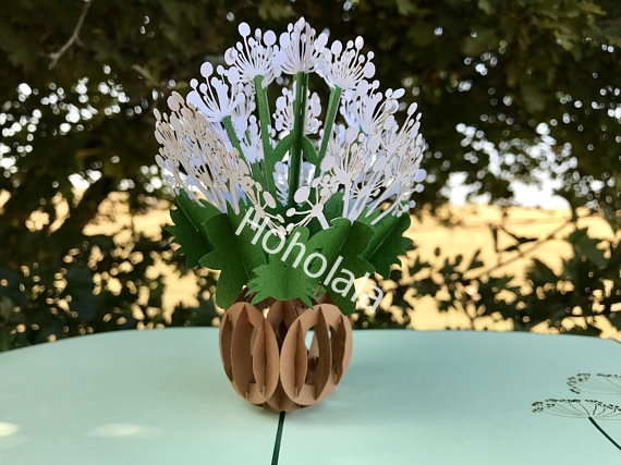 6.1_popup_cow_parsley_card_flowers_popup_card_3d_flowers_card_birthday_card_birthday_gifts