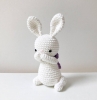 cute-bunny-cbhc1252 - ảnh nhỏ 3