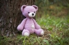 cute-pink-teddy-bear-cptbhc14 - ảnh nhỏ 3